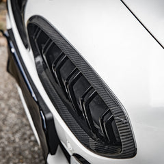 TNF+ Frontgrill Carbon passend für BMW Z4 (G29)