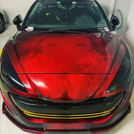 Scheinwerfercover passend für Peugeot rcz