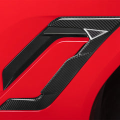 TNF+ SOOQOO Kotflügel Embleme Carbon passend für BMW X6 (F96) Facelift