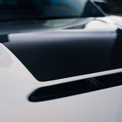 TNF+ Performance Motorhaube passend für BMW M2 (F87 N55) M2 (F87C S55)